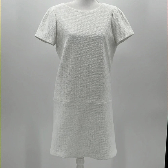Alice + Olivia Drop Waist Short Sleeve Texture Dress in White - Size 6 - Picture 1 of 7